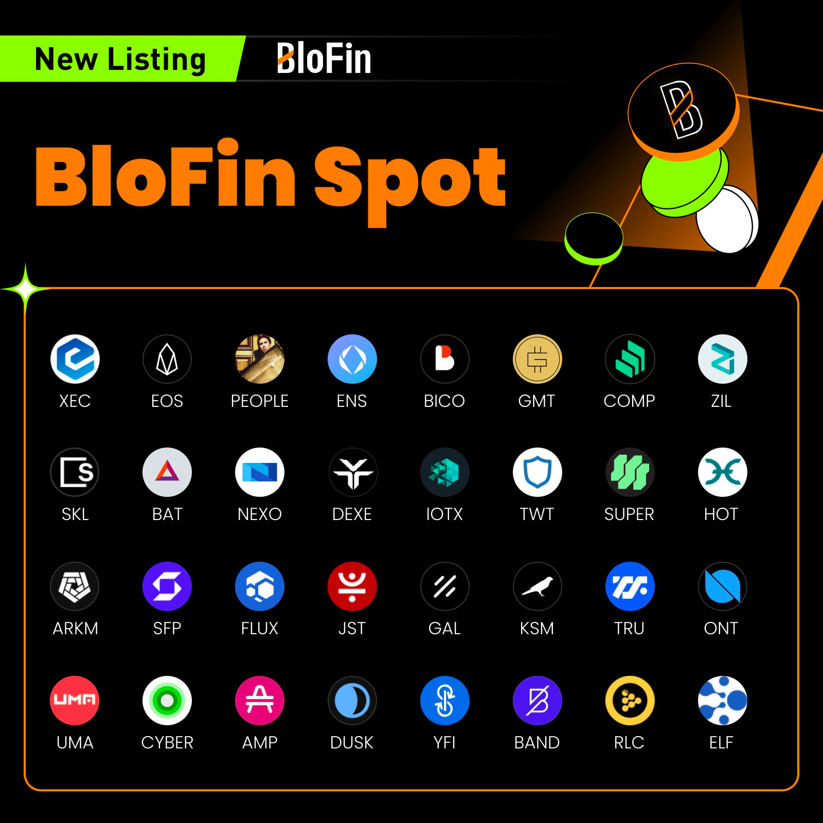 blofin spot.jpg