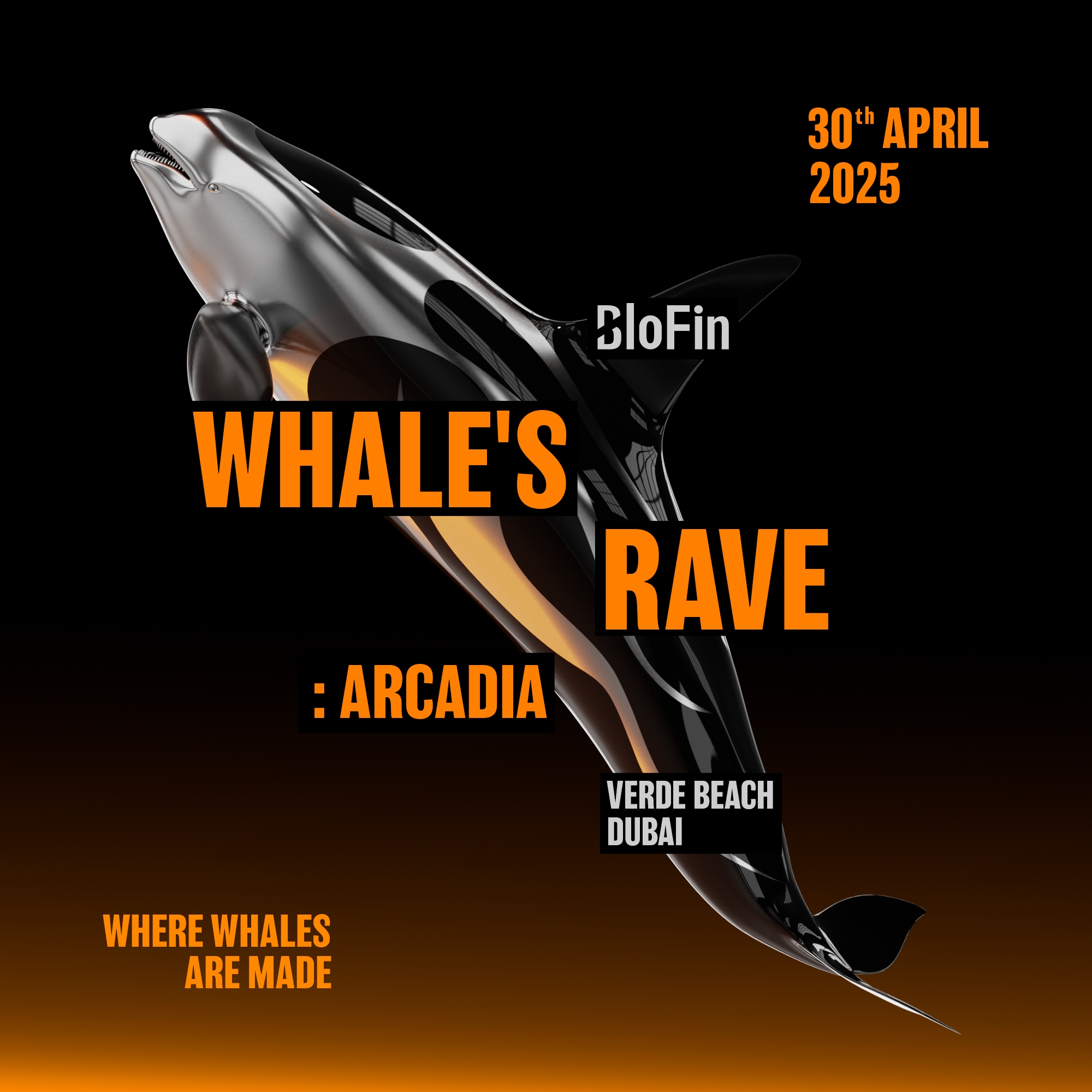 20250321-201529.jpeg