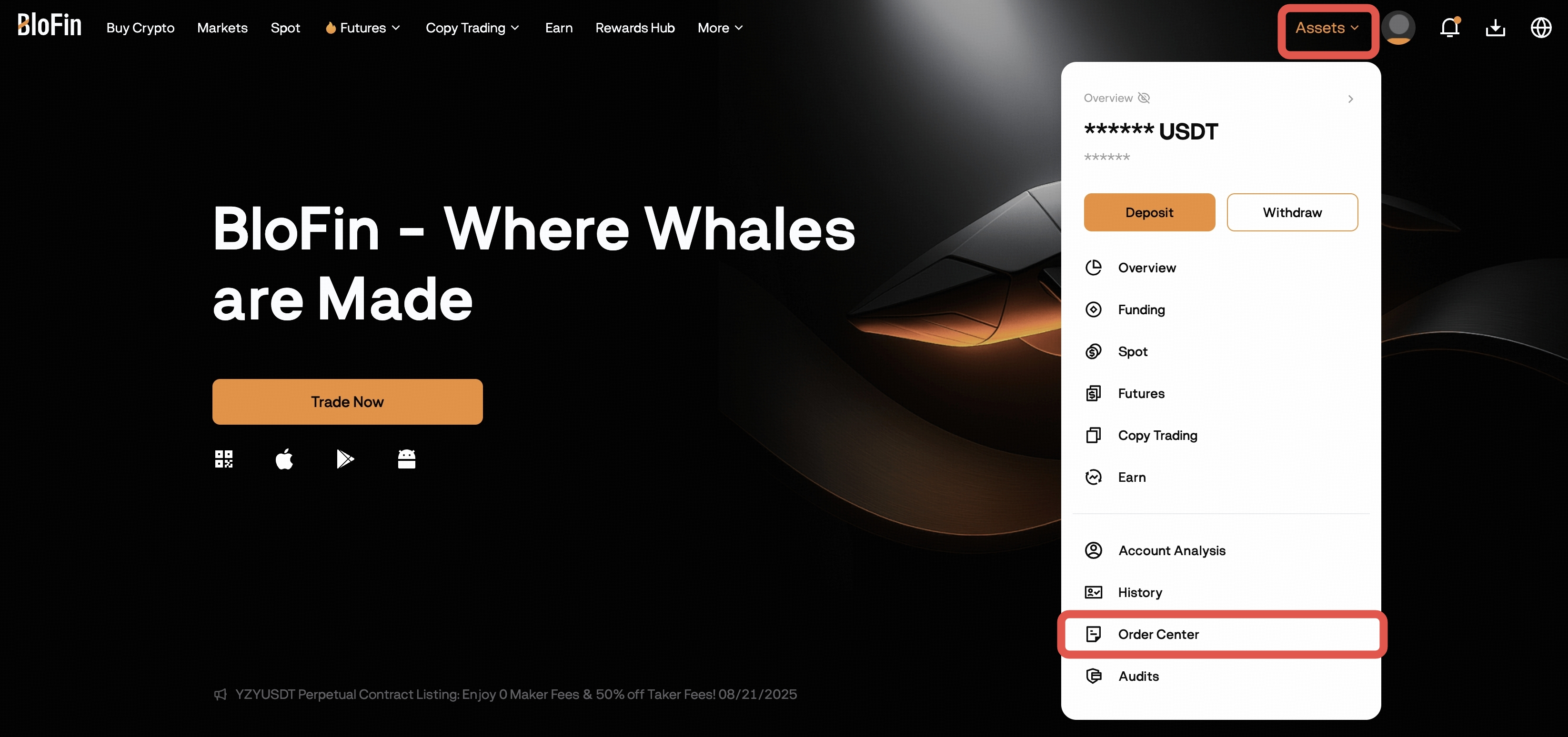 How to Export Transaction History on BloFin? – Help Center