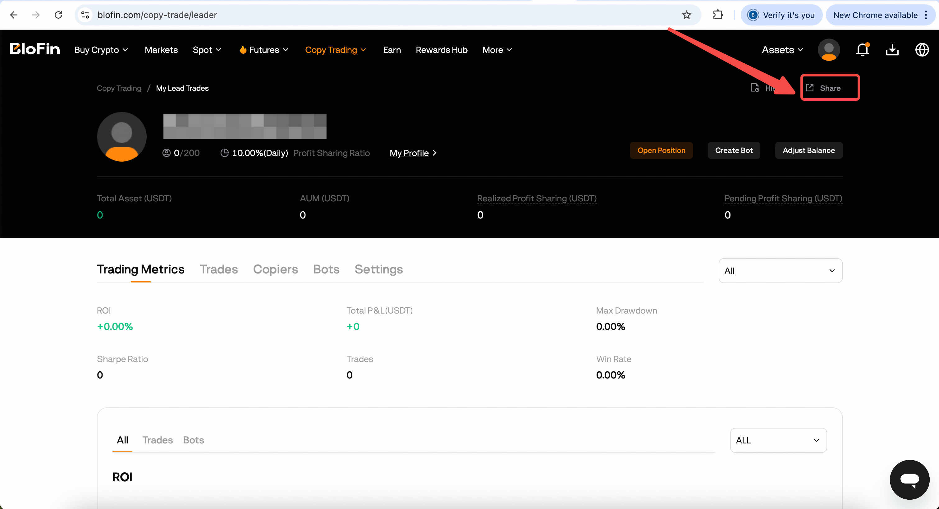 Trader: Step-by-Step Guide: How to Become a Lead Trader & Complete Your  First Copy Trade – Help Center
